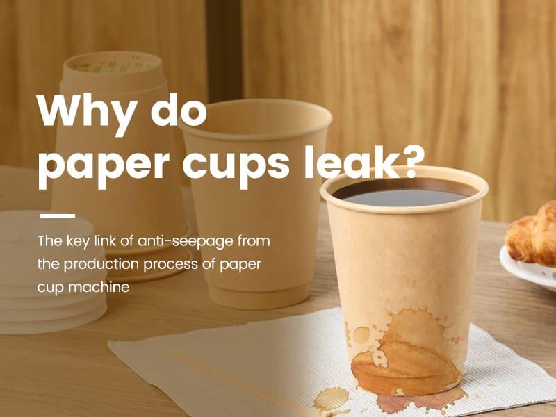 Why Do Paper Cups Leak?
