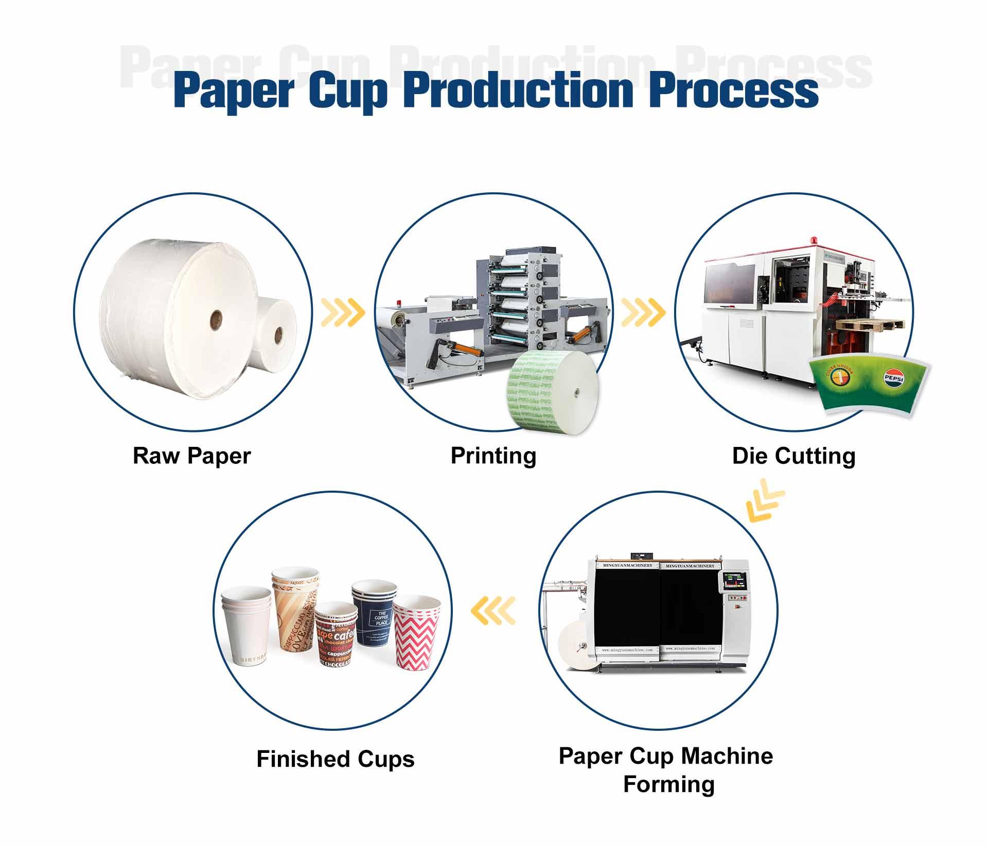 paper cup production process Cup Forming